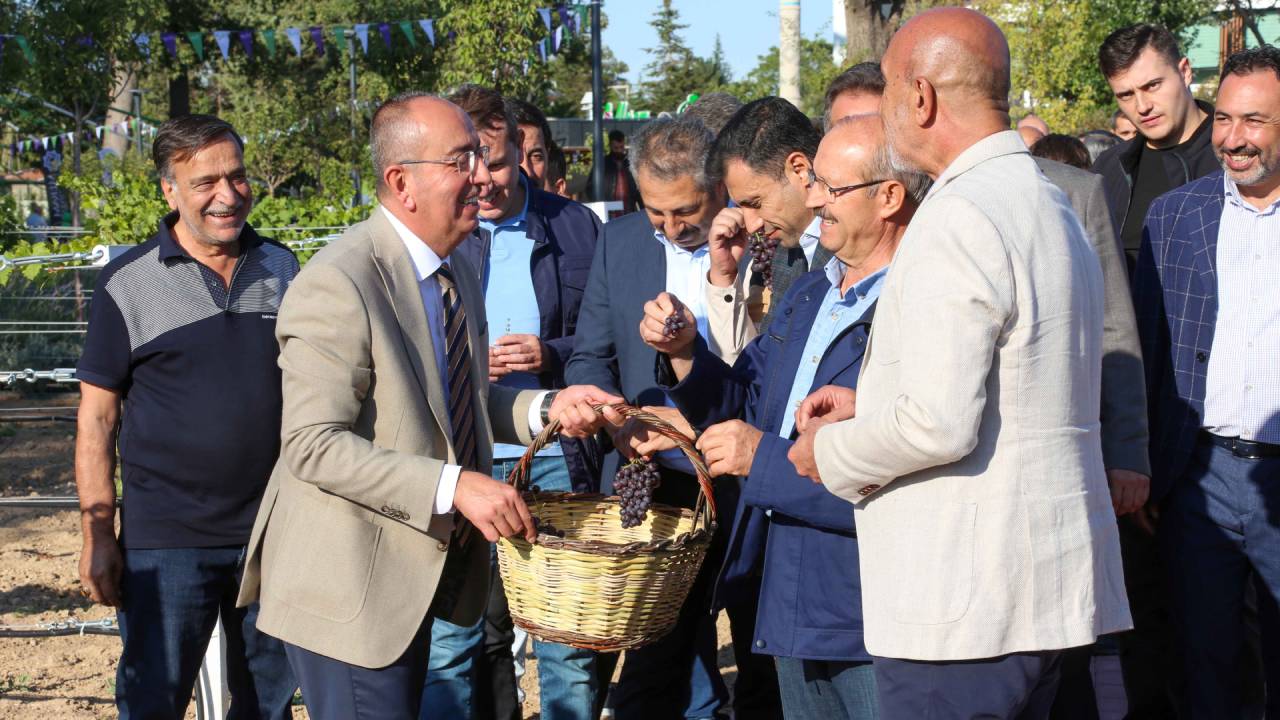 Yeni Proje (3)_ee997e0af02181002bdec4fa54f5a71a.jpg